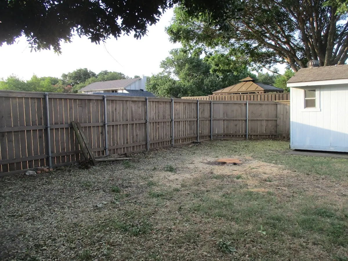 Cleared yard after professional tree removal in Lovettsville